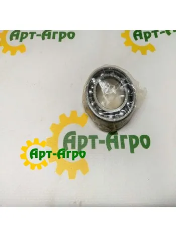 6006 RSH FAG Підшипник