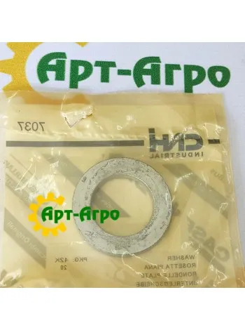 87529311 Шайба CNH