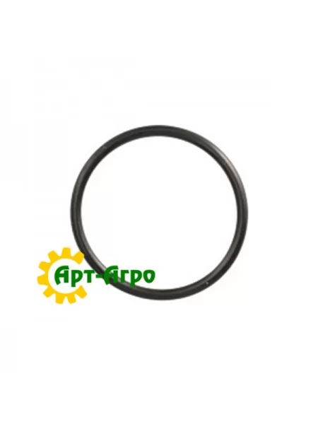 272380 Кільце ущільнювальне CNH