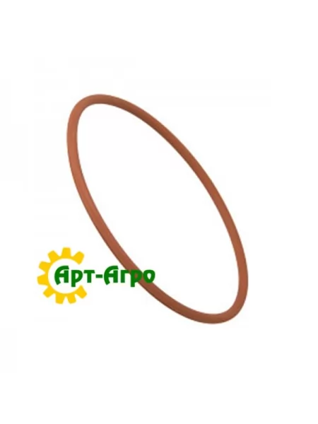 17290781 Кольцо CNH