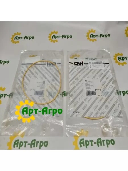 87433971 Кільце ущільнювальне CNH