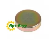 FP-R82007 Plug for cylinder block (camshaft)