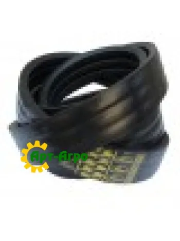 2124287 Многоручьевой ремень Gates