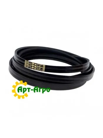 1423179-Gates multi-ribbed belt