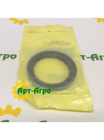 196011 Сальник CNH