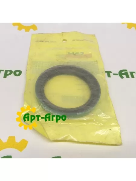 196011 Сальник CNH