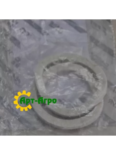 220012 Кільце ущільнювача (к-кт 2шт) CNH