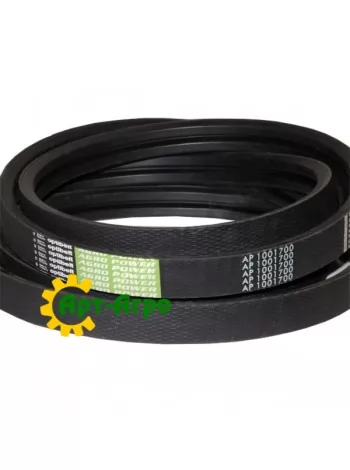 AP1001700 Ремень Optibelt