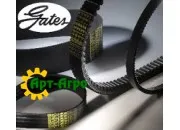 0310157 Вариаторный комбайновый ремень Gates 