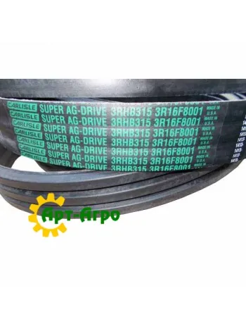 3RHB315 Belt Carlisle