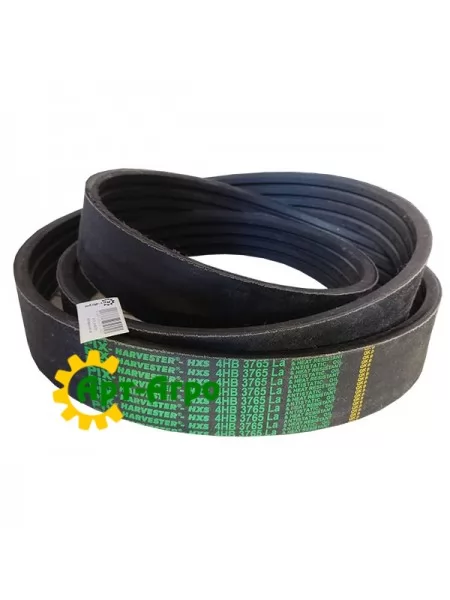 4HB3765 Belt Pix 4HB3765 Belt Pix