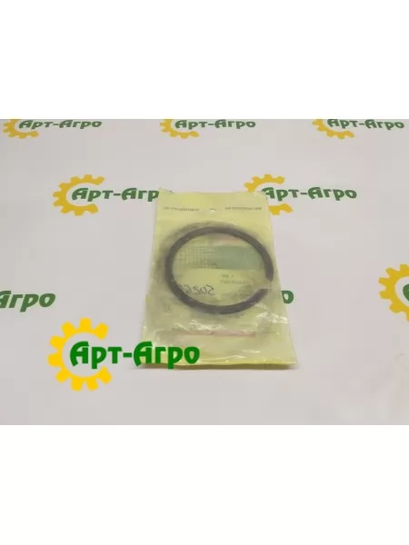 196693H1 Кільце стопорне CNH