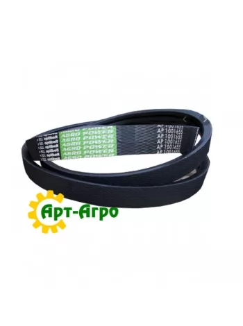 1001655 Двохструмковий ремінь Optibelt