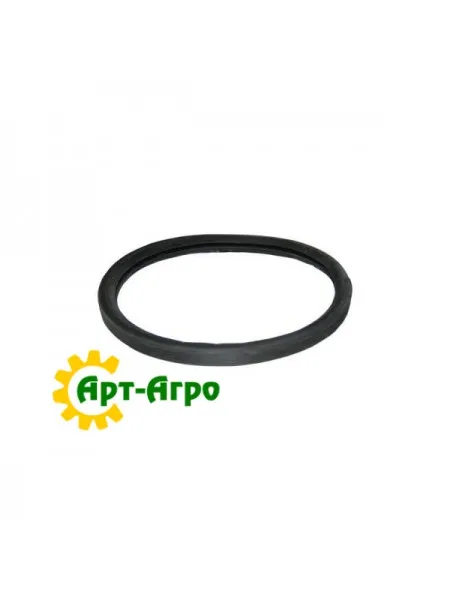 J926048AM Кільце ущільн. (J926048) CASE IH