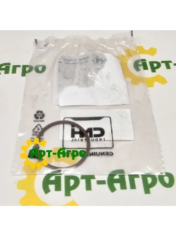 17283181 Кольцо CNH