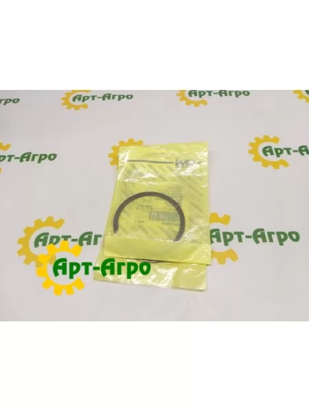 101-11275 CNH Retaining Ring 101-11275 CNH Retaining Ring