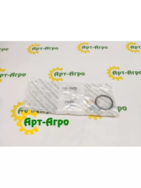 17289480 Кільце ущільнювача CNH