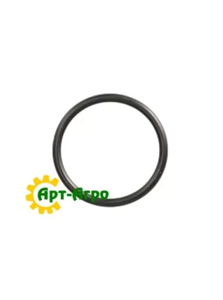 17289480 Кільце ущільнювача CNH