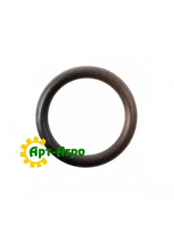 R113050 Кільце John Deere