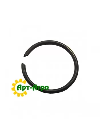 123763A1 Кільце стопорне CNH