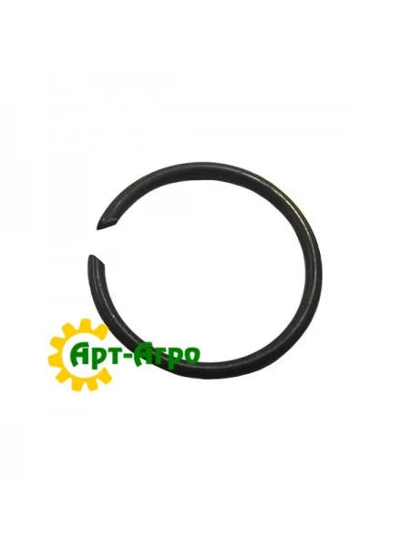123763A1 Кільце стопорне CNH