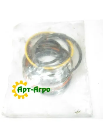 AH101202 Ремкомплект гідроциліндра John Deere