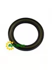 6513441 Seal Massey Ferguson(AGCO PARTS)