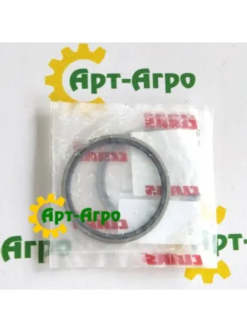 0002169780 Piston seal Claas 75x64x4.2