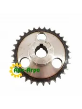 1317412C1 Зірочка CNH