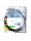 1286061C1 Прокладка CNH