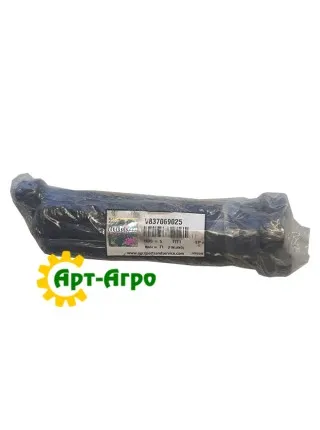 v837069025 Гвинт головки циліндрів Massey Ferguson