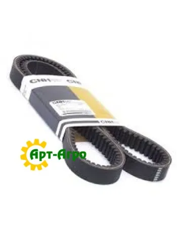 301146A1 CNH belt