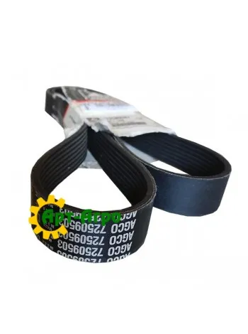 72509503 Багаторучний ремінь Massey Ferguson(Agco Parts)