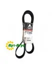 72509503 Багаторучний ремінь Massey Ferguson(Agco Parts)