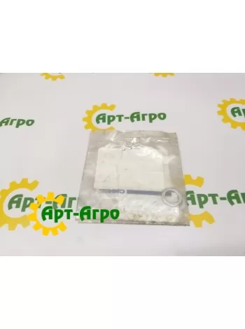 17095224 Шайба CNH