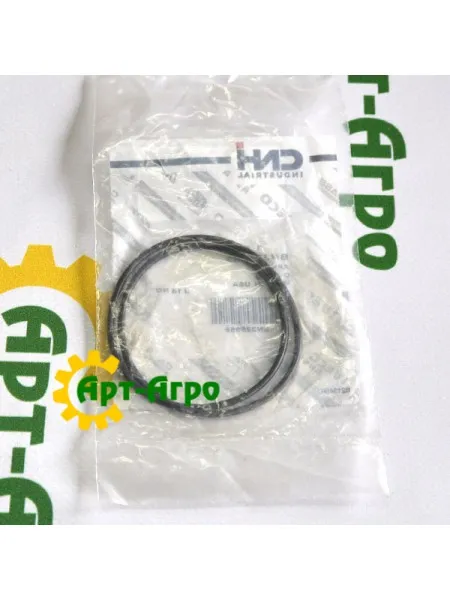 BN325955 O-ring CNH