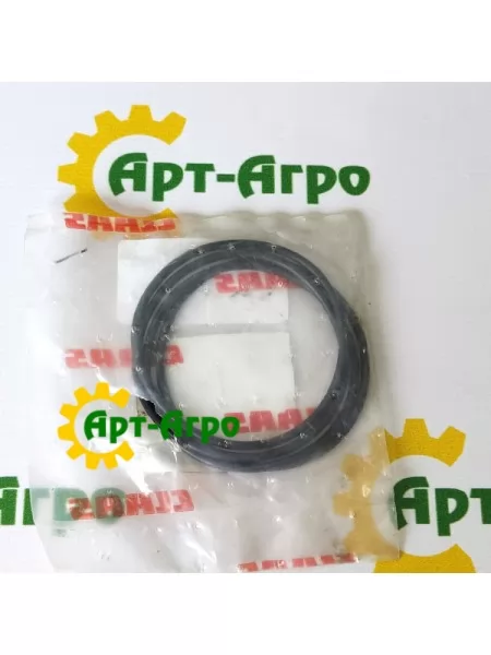 0002121650 Pierścień uszczelniający D66x3 Claas