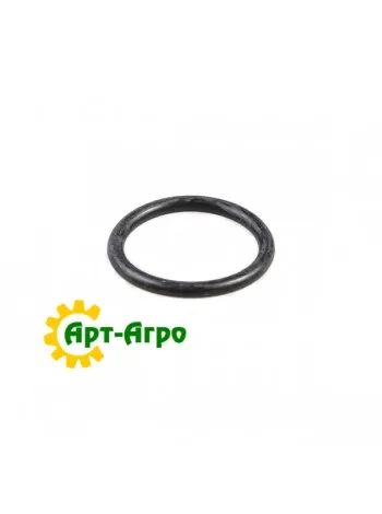 304967 O-ring 2.5 x 20 CNH
