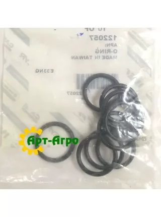 122057 Кільце ущільнювальне CNH