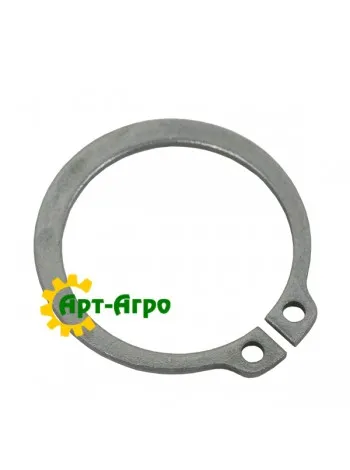 700183704 Стопорне кільце Massey Ferguson (Agco Parts)