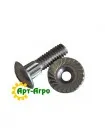 H125890 Segment bolt M5.5x22 for screwdriver + nut