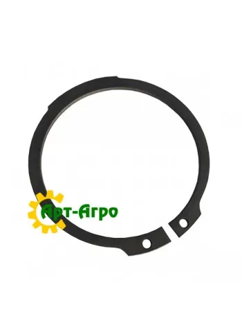 AG520005 Retaining ring Agco Parts