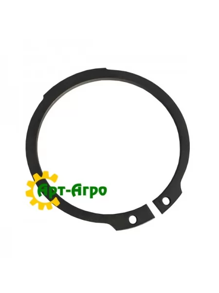 AG520005 Стопорне кільце Agco Parts