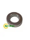 6007 DU NSK Bearing