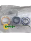 WR122431 Ремкомплект гідроциліндра Massey Ferguson (AGCO PARTS)