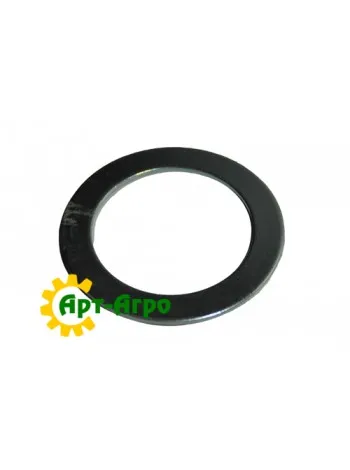 193929A1 Шайба CNH для Case IH MRX690