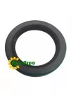 CR16062 Oil seal SKF