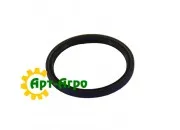 BN302044 Сальник CNH