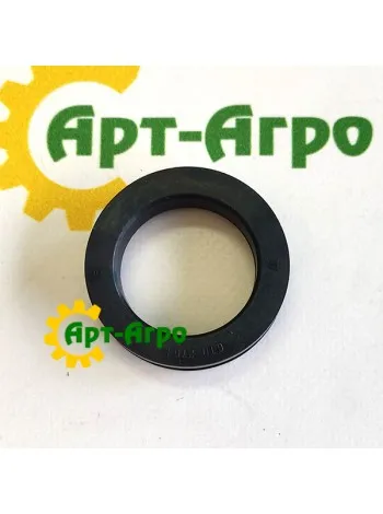 ACP0000230 Oil Seal Agco Parts