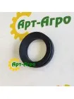 ACP0000230 Oil Seal Agco Parts
